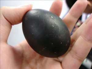 đây là loại trứng gì?