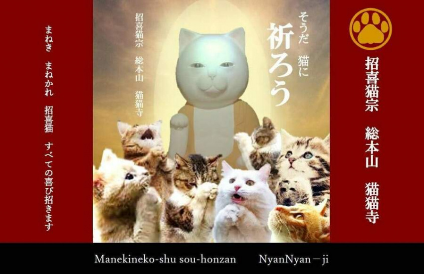 Ở Nhật có ngôi Chùa thờ Mèo đã đành, đến trụ trì cũng là Mèo?