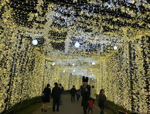 đèn led, kanagawa, kanto, mùa đông, sagamiko illumination, biển đèn led 6 triệu bóng lớn nhất kanto “choáng ngợp” đến mức nào vào mùa đông?