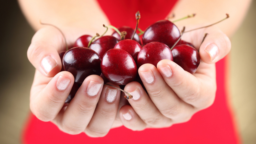 cherry, cách chọn cherry, cách bảo quản cherry, cherry mỹ, cherry úc, mua cherry ở đâu, trái cherry, cách chọn mua cherry và những công dụng tuyệt vời của loại trái cây đắt đỏ này