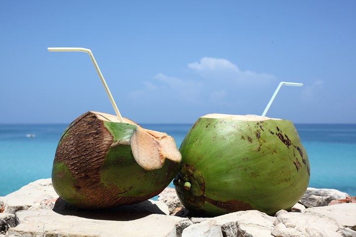 lợi ích từ nước dừa, công dụng của nước dừa, tại sao nên uống nước dừa, tác dụng của nước dừa, uống nước dừa có tốt cho sức khỏe không, 8 lợi ích tuyệt vời của nước dừa tươi