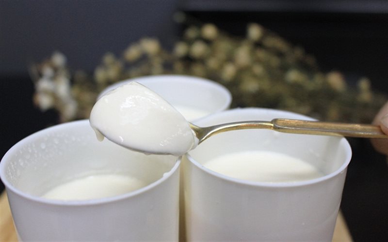 Sữa Chua Nhà Làm Và Sữa Chua Công Nghiệp Loại Nào Tốt Cho Chúng Ta Hơn
