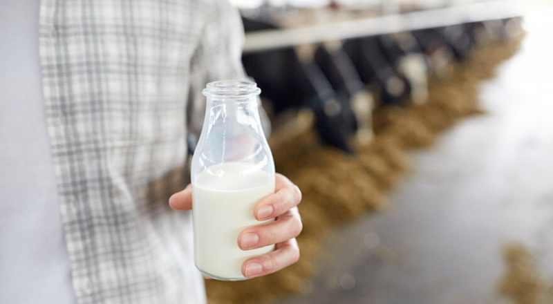 vì sao uống sữa bị tiêu chảy, vì sao uống sữa bị đau bụng, cách chữa đau bụng khi uống sữa, sữa organic, sữa thực vật hữu cơ, sữa organic là gì, sữa ecomil, , vì sao uống sữa thường gây đau bụng, tiêu chảy: nguyên nhân và cách khắc phục
