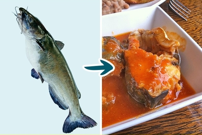8 loại cá bạn nên cân nhắc hoặc hạn chế khi ăn