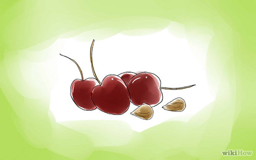 cherry, anh đào, trồng cherry, mùa trồng cherry, trồng cherry lấy quả, cách trồng cherry, dụng cụ trồng cherry tại nhà, thu hoạch trái cherry, kỹ thuật trồng cây cherry đậu trái quanh năm
