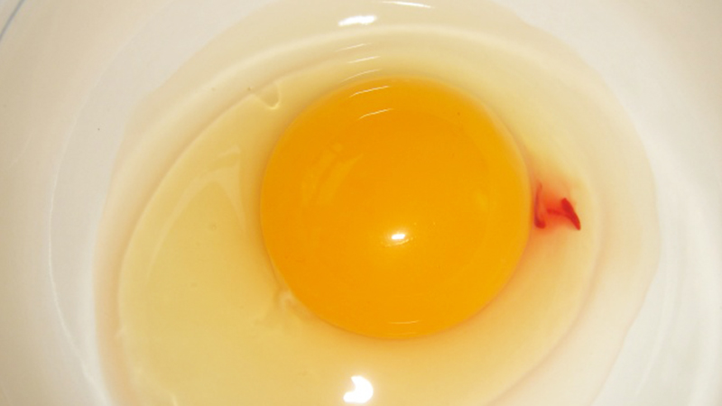 trứng, trứng gà, ăn trứng, vệt đỏ ở trứng, đập trứng xuất hiện vệt đỏ, ăn trứng có vệt màu đỏ, nên hay không nên ăn trứng có vệt đỏ khi đập ra, nên hay không nên ăn trứng khi đập ra xuất hiện vệt đỏ