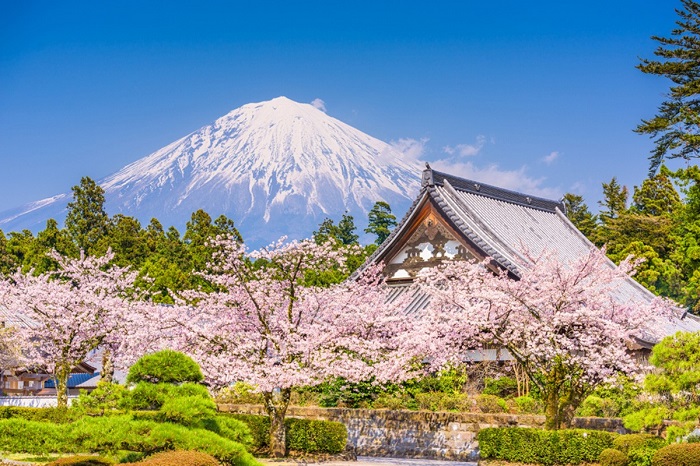 du lịch nhật bản bằng tàu hỏa: từ tokyo đến fujinomiya thưởng ngoạn thiên nhiên và văn hóa tuyệt vời