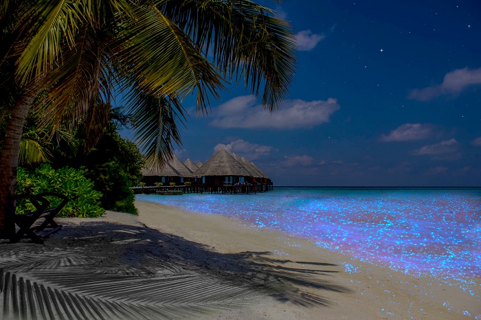 xóa tan cái nóng mùa hè tại 7 thiên đường bãi biển nổi tiếng ở maldives