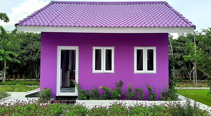 thổn thức trước vẻ đẹp lãng mạn của căn nhà màu tím hot nhất cần thơ 