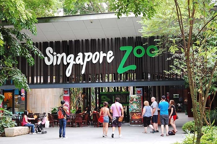 sở thú singapore, nơi bạn có thể hòa mình vào thế giới hoang dã ở quốc đảo sư tử