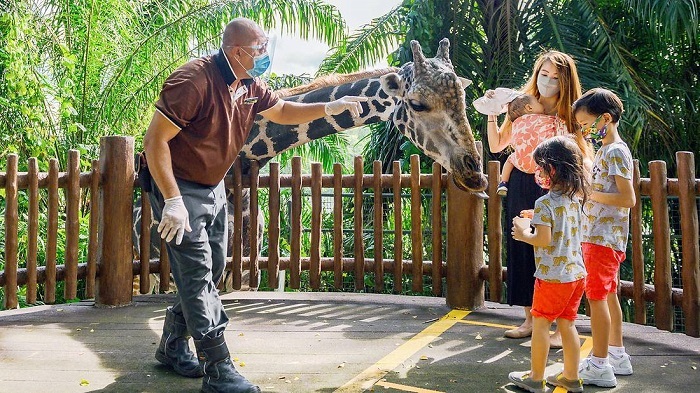 sở thú singapore, nơi bạn có thể hòa mình vào thế giới hoang dã ở quốc đảo sư tử