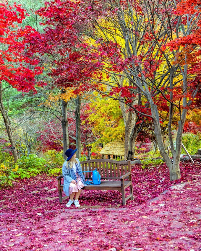 Mùa thu ở Hàn Quốc và 7 địa điểm check in đẹp nhất bạn không thể bỏ lỡ