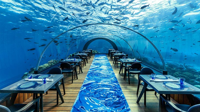 Ăn tối dưới đại dương và những trải nghiệm độc đáo chỉ có khi du lịch Maldives