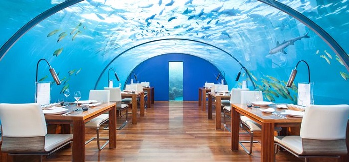 ăn tối dưới đại dương và những trải nghiệm độc đáo chỉ có khi du lịch maldives