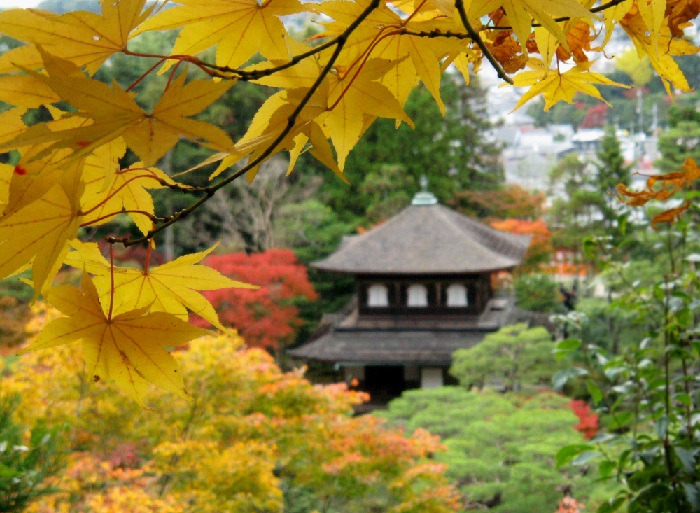 du lịch nhật bản: khám phá 7 điểm đến mùa thu tại kyoto thu hút nhất