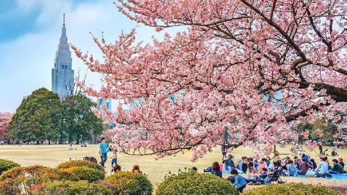 du lịch nhật bản: top 4 công viên ở kyoto điểm du lịch thiên nhiên hàng đầu