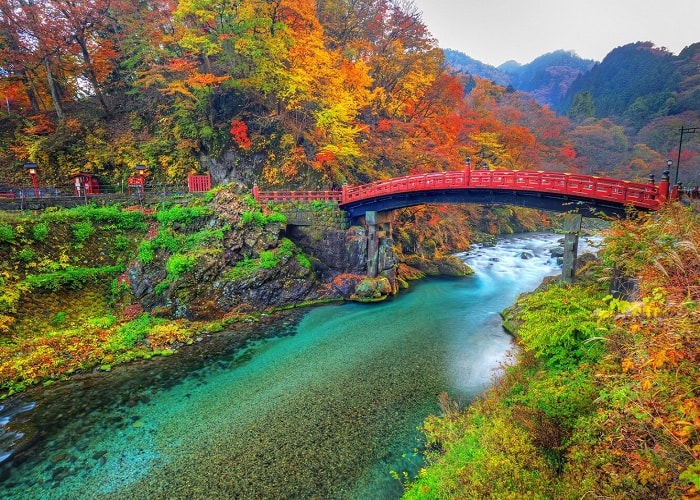 Du lịch Nhật Bản mùa nào đẹp nhất, phong cảnh lãng mạn để sống ảo? 