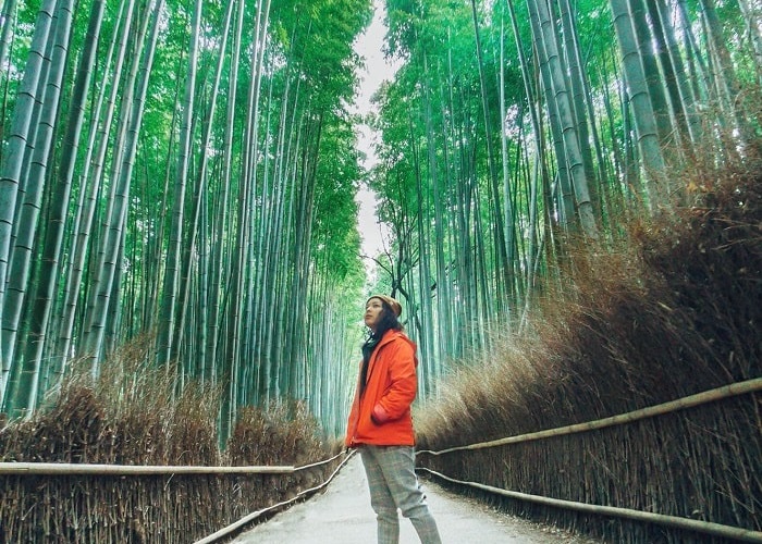 lạc bước giữa rừng tre arashiyama đẹp tựa thiên đường ở xứ phù tang