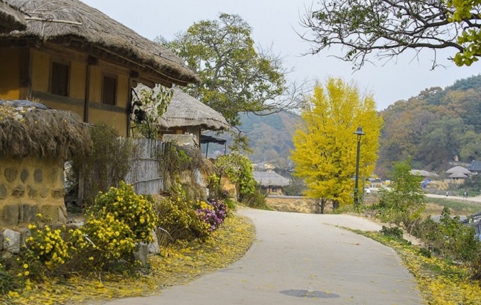 khám phá ngôi làng cổ yangdong 600 tuổi đẹp như tranh vẽ ở gyeongju