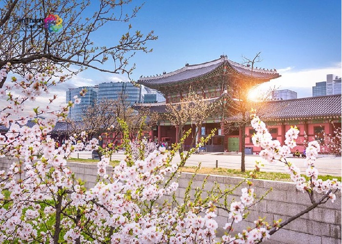 Nét đẹp hấp dẫn của những ngôi chùa Hàn Quốc khi vào thu