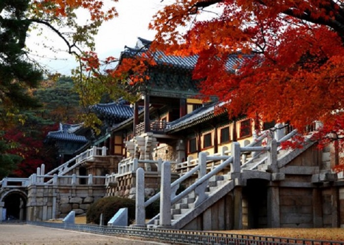 Du lịch Gyeongsangbuk, ngẩn ngơ với cảnh đẹp lịm tim xứ Hàn mùa hè