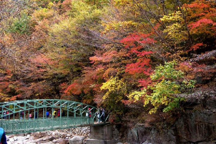 top 5 địa điểm ngắm lá đỏ mùa thu hàn quốc lãng mạn nhất