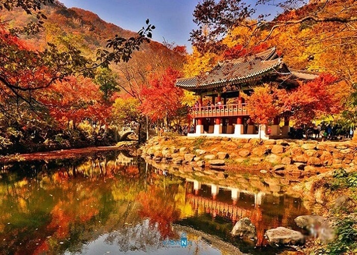 những địa điểm đẹp ở seoul nhất định bạn phải ghé thăm khi du lịch hàn quốc