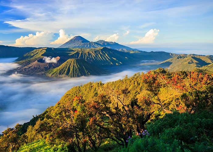 Núi lửa Bromo Indonesia – Dấu ấn thiên nhiên đầy hùng vĩ