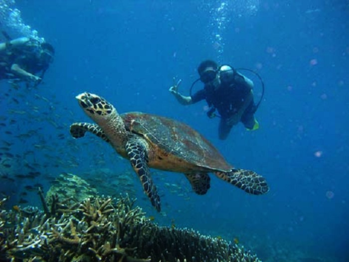 kinh nghiệm du lịch đảo tioman từ a-z mới nhất