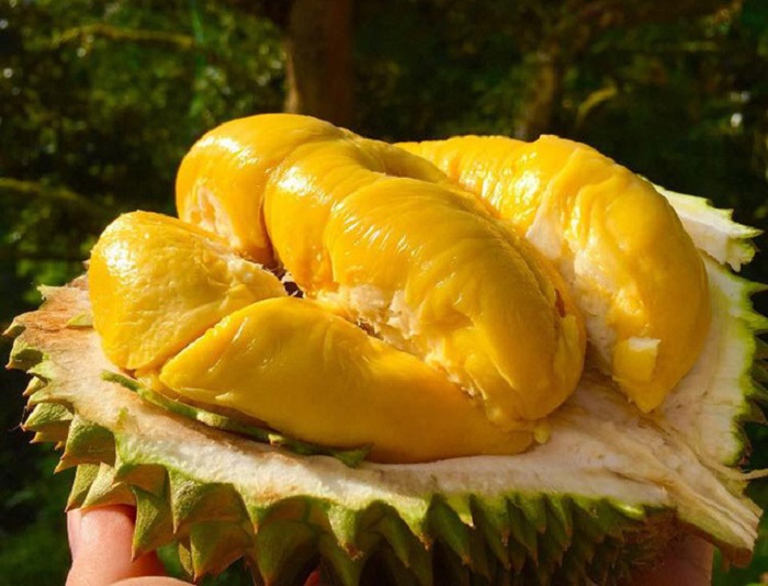 những loại trái cây đặc sản malaysia có 1 không 2 bạn nên thử