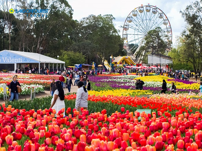 khám phá lễ hội hoa floriade, canberra lớn nhất nam bán cầu