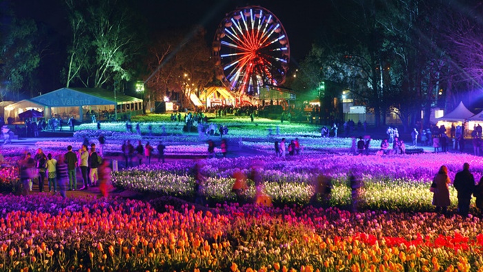 khám phá lễ hội hoa floriade, canberra lớn nhất nam bán cầu