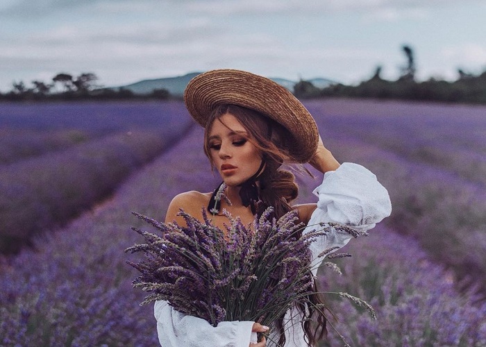 Đắm mình giữa cánh đồng hoa Lavender tím mộng mơ ở Pháp