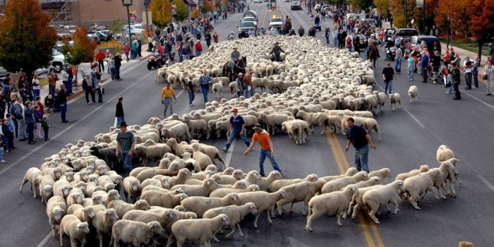 khám phá lễ hội chăn cừu đặc sắc khi du lịch nga