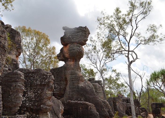Rời xa đô thị để khám phá vùng đất hoang sơ Litchfield tuyệt đẹp ở Darwin