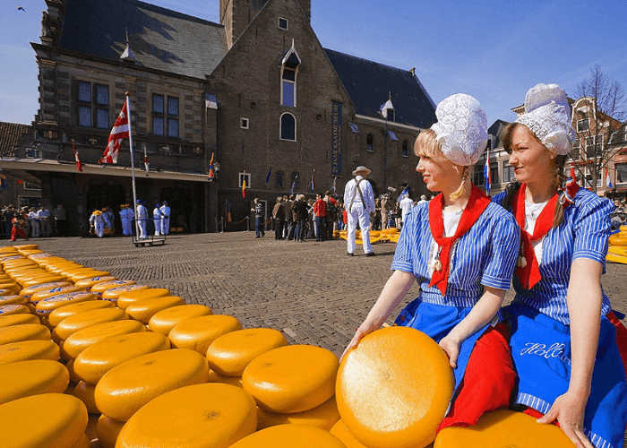 kinh nghiệm khám phá chợ phô mai alkmaar ở hà lan 
