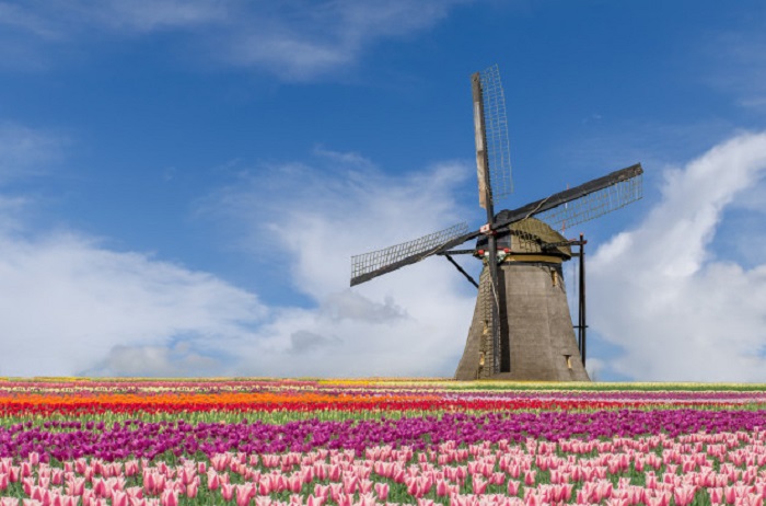 Tất tần tật kinh nghiệm du lịch Hà Lan dành cho tín đồ xê dịch