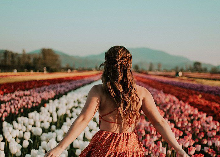 khám phá lễ hội hoa tulip ở hà lan dành cho những tâm hồn mộng mơ