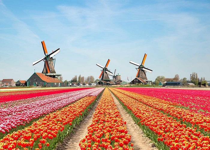 Đẹp mê mẩn những cung đường đi dạo đẹp nhất ở Hà Lan