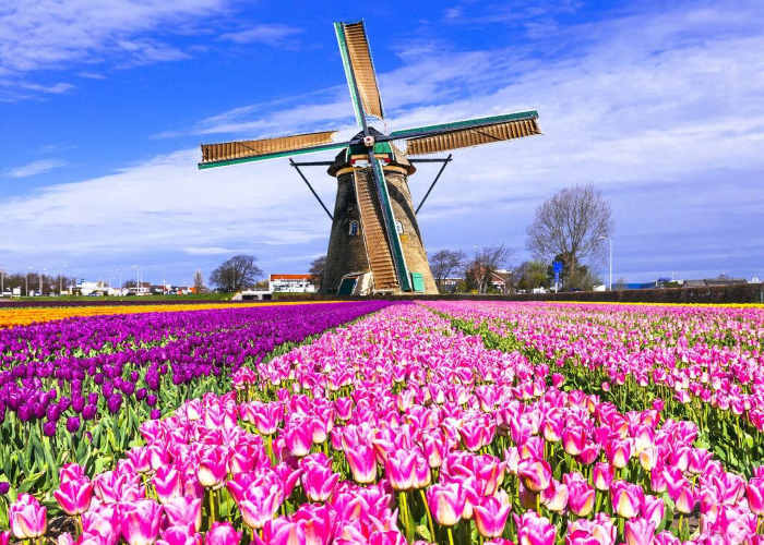 Đất nước Hà Lan – “Thiên đường” đáng sống nhất Châu Âu