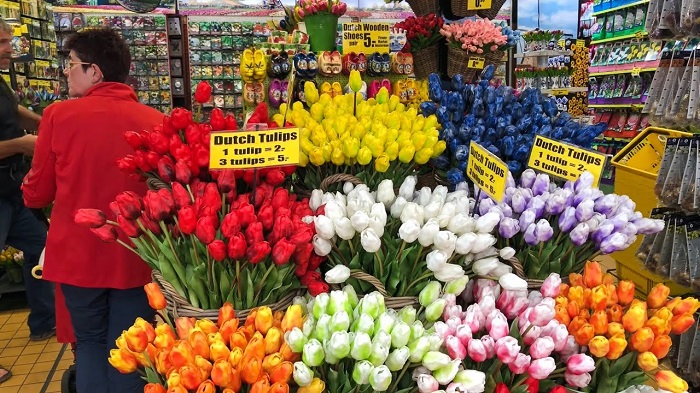 thăm chợ hoa nổi bloemenmarkt duy nhất thế giới tại amsterdam