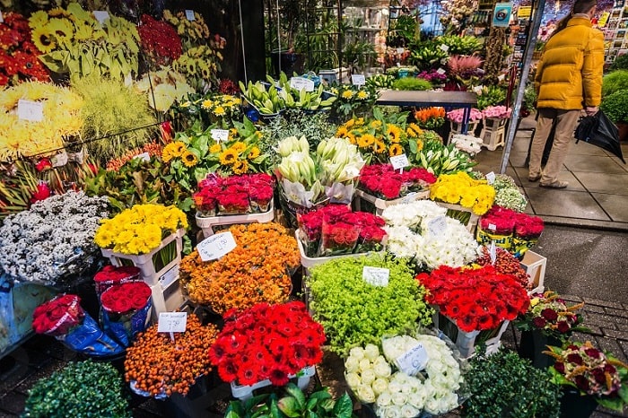 thăm chợ hoa nổi bloemenmarkt duy nhất thế giới tại amsterdam