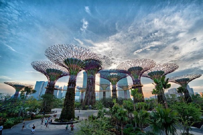 Khám phá Garden by the Bay – Khu vườn năng lượng khổng lồ ở Singapore
