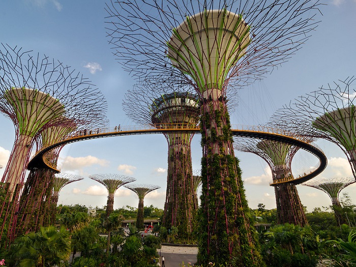 khám phá garden by the bay – khu vườn năng lượng khổng lồ ở singapore