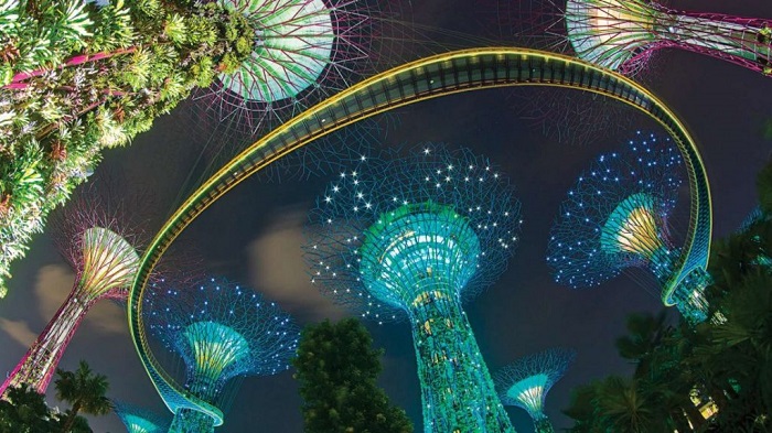 khám phá garden by the bay – khu vườn năng lượng khổng lồ ở singapore