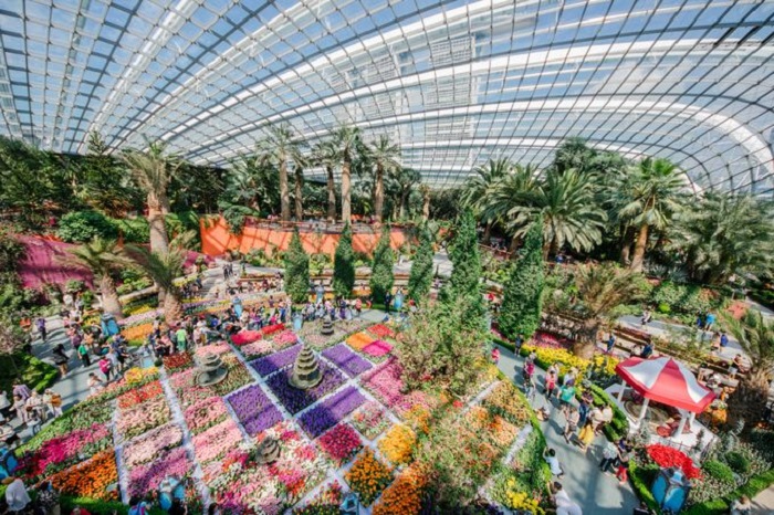 khám phá garden by the bay – khu vườn năng lượng khổng lồ ở singapore