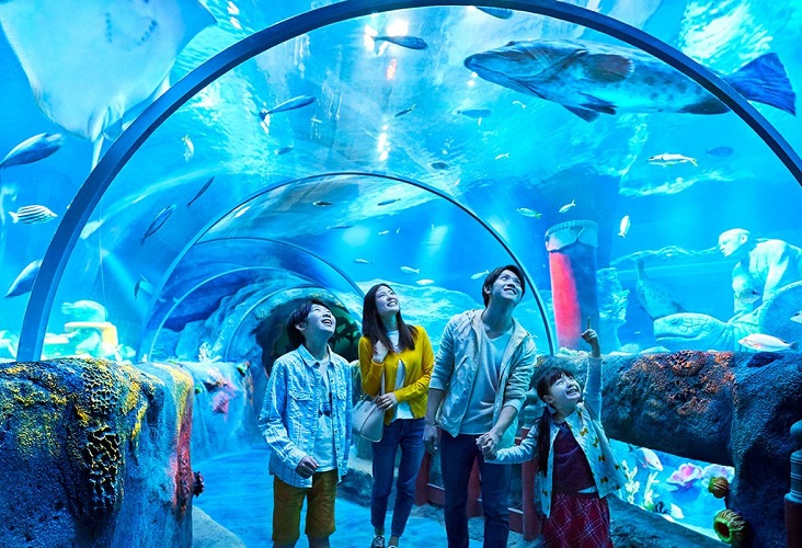 Có gì thú vị tại SEA Aquarium – thủy cung lớn nhất thế giới hiện nay
