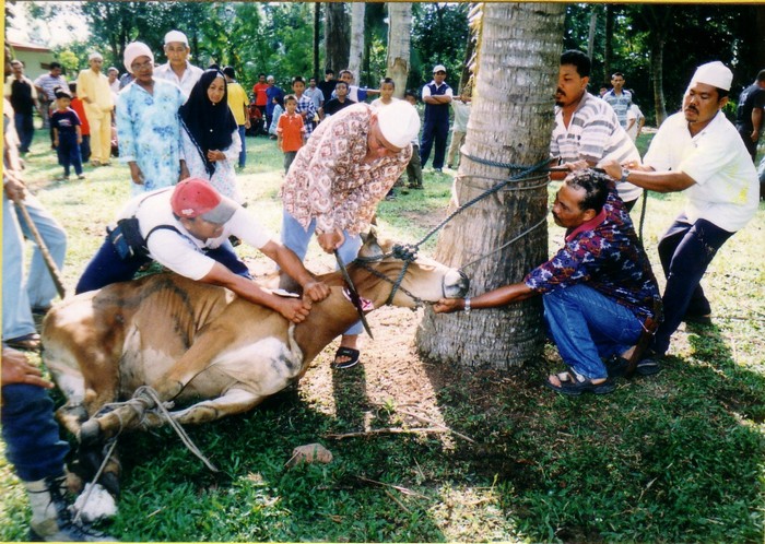 lễ hội hari raya haji ở singapore – hành trình thiêng liêng đến thánh địa hồi giáo