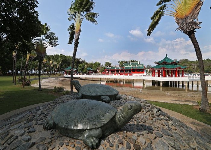 đảo rùa singapore – điểm đến linh thiêng bậc nhất quốc đảo sư tử
