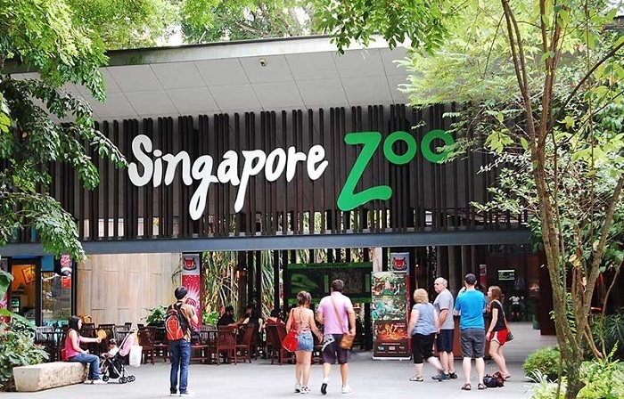 sở thú đêm ở singapore – địa điểm tham quan không thể bở lỡ khi đến đảo quốc sư tử